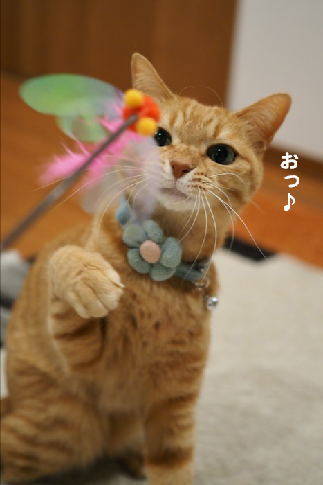 6日ブログ１
