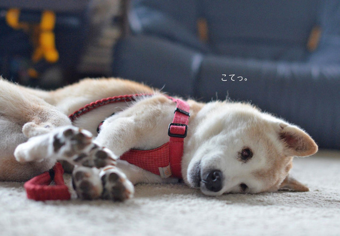 23日ブログ3