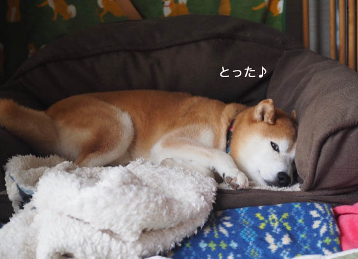 14日夜ブログ１
