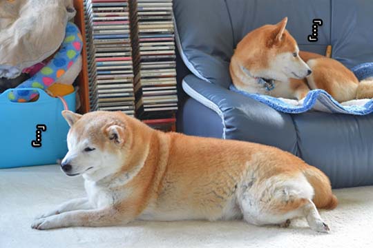29日ブログ9.jpg