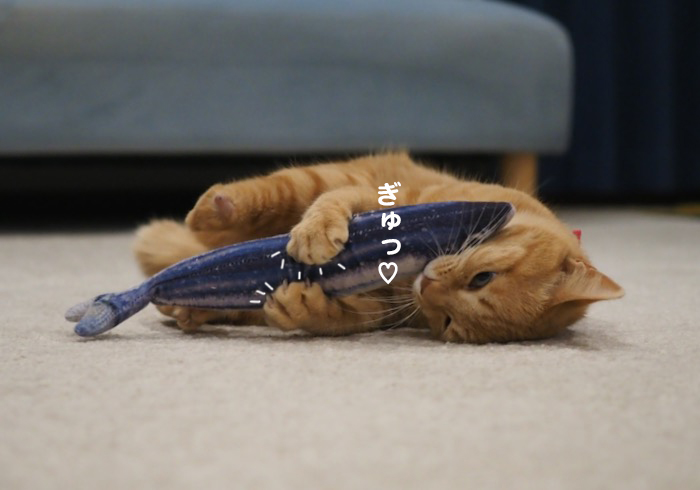 11日夕ブログ８