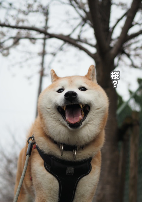 2日夕ブログ２