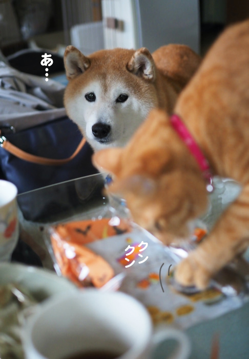 26日ブログ８