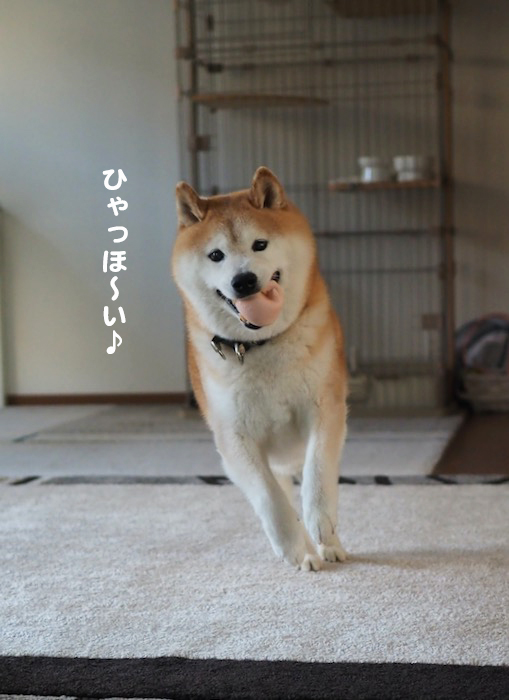 24日夕ブログ３