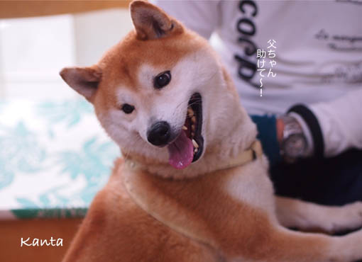 29日ブログ4.jpg