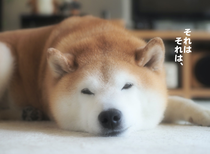 24日夕ブログ6