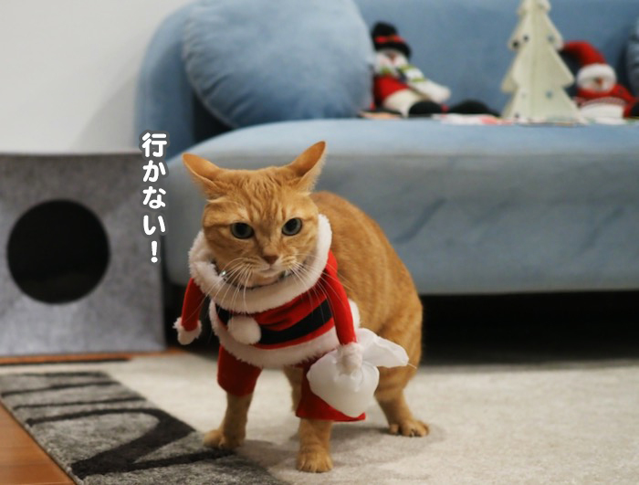 24日ブログ３