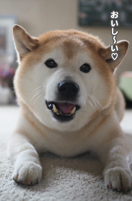 19日夕ブログ５