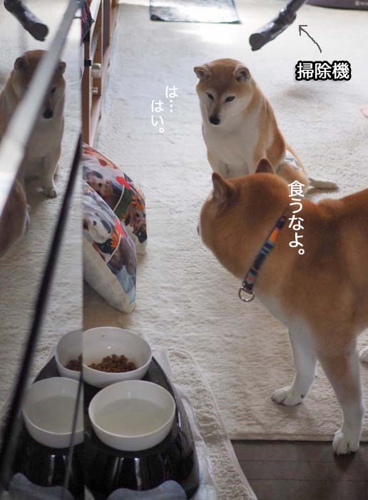 22日夜ブログ８