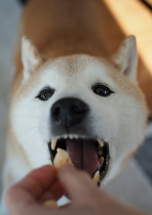 10日ブログ１