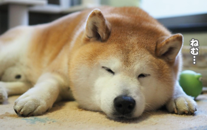 22日夕ブログ５