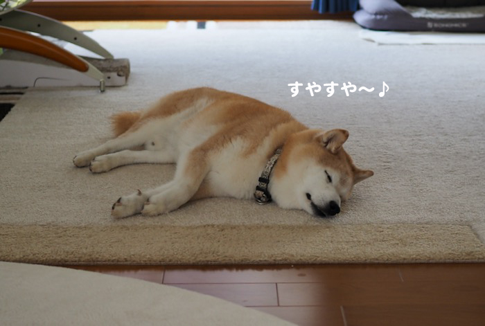 7日ブログ２