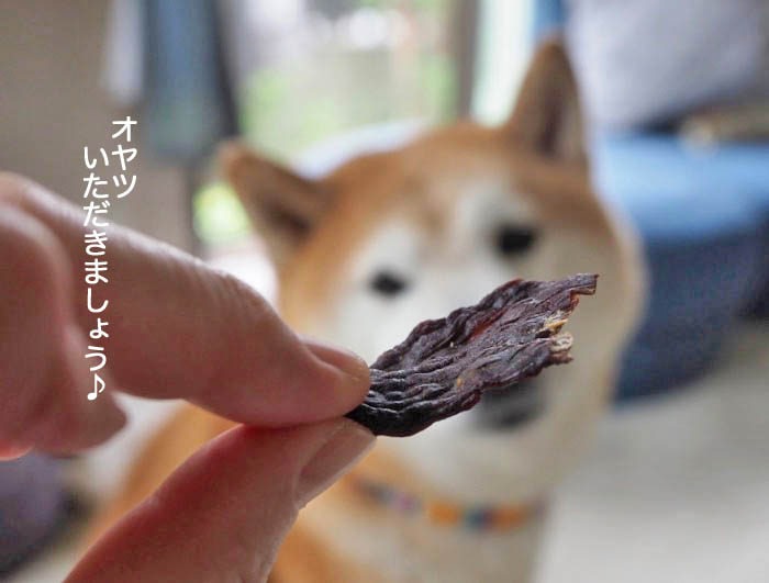 18日夜ブログ２