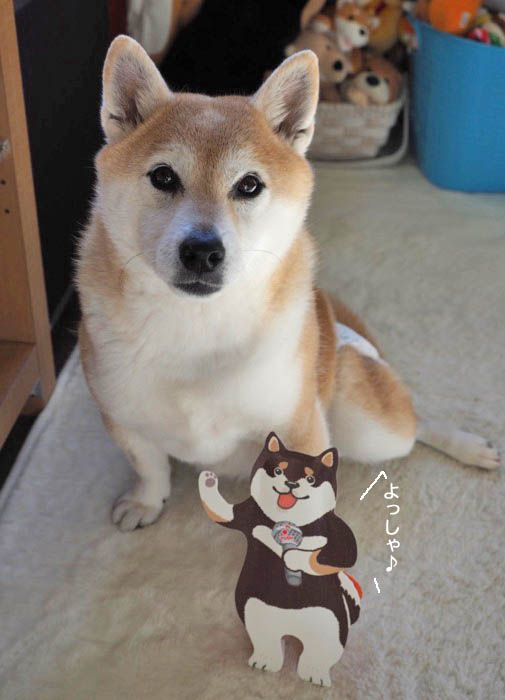 10日夜ブログ４