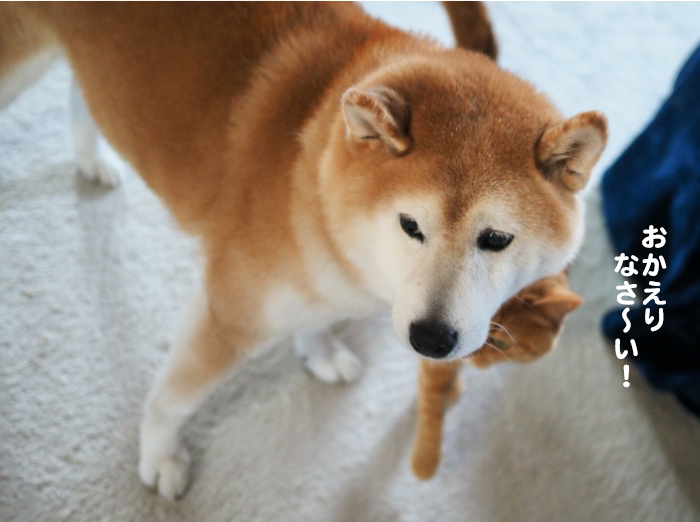 1日夕ブログ７