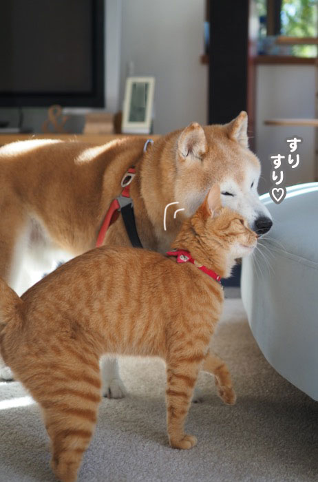 7日夕ブログ４