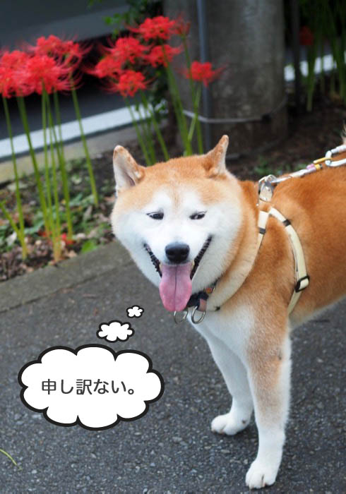 23日ブログ４