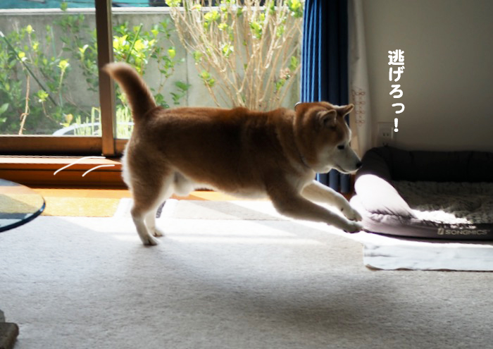 8日ブログ３