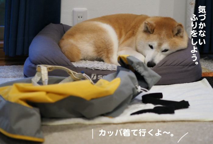 2日夕ブログ２