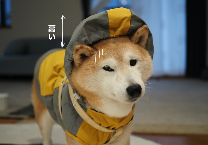 1日夕ブログ４