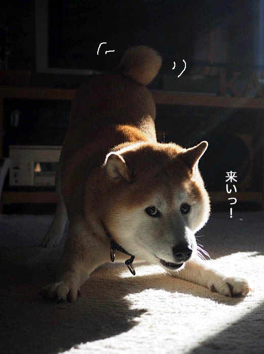 19日ブログ１