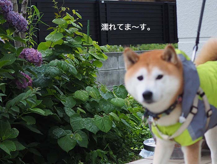 30日夜ブログ４