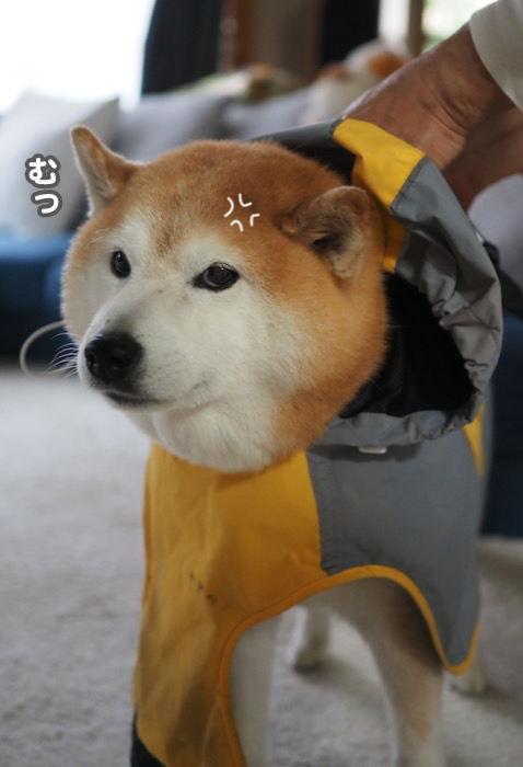 10日午後ブログ２