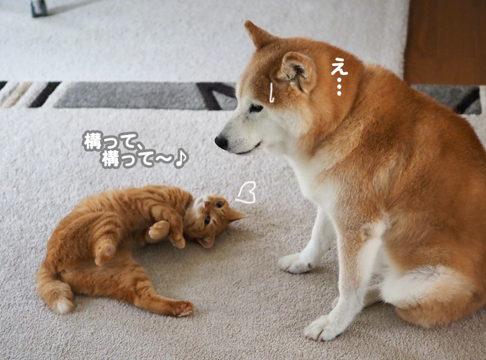 20日夕ブログ３