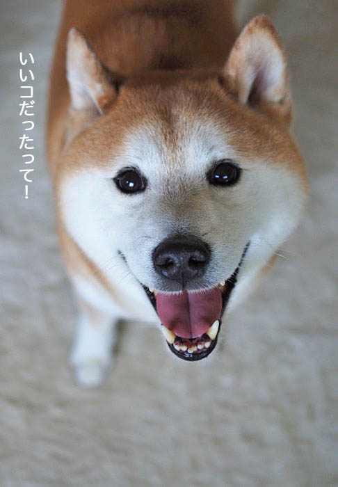 13日午後ブログ３