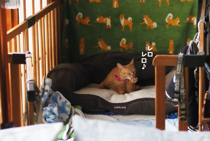 21日ブログ１