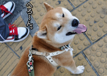 5日ブログ１５.jpg