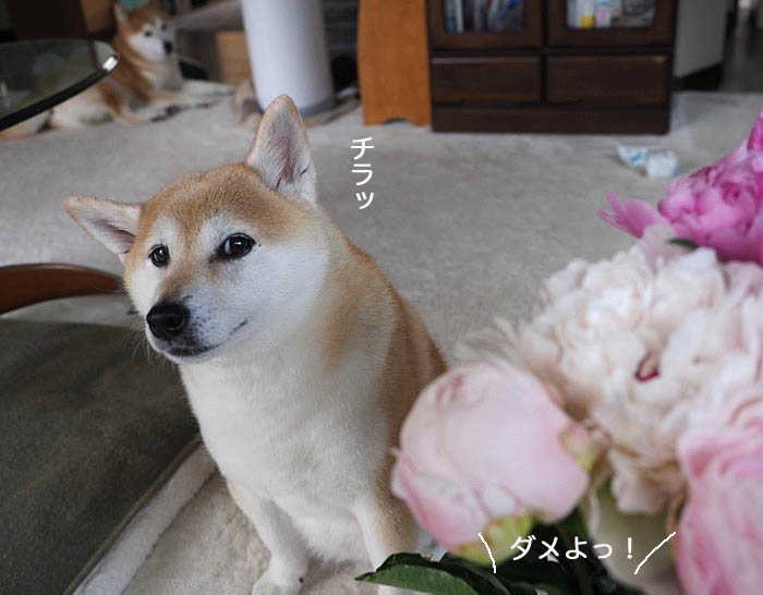 18日ブログ４