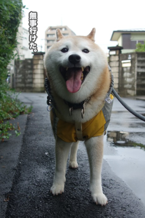 16日夜ブログ６