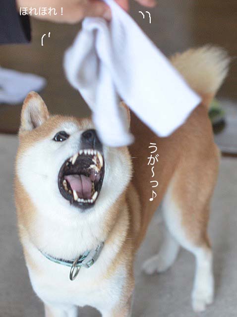 30日ブログ3