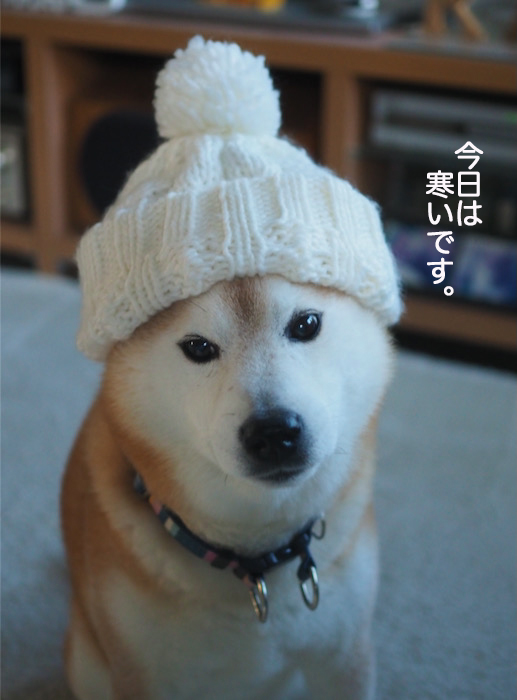 6日夕ブログ３