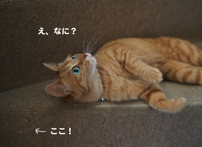 2日夜ブログ３