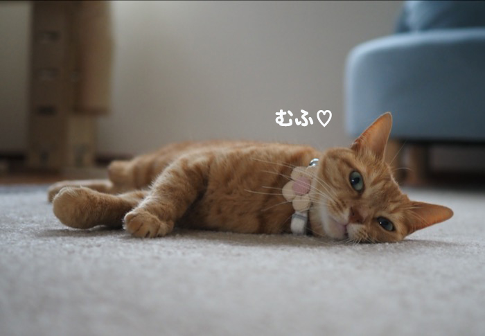 19日夕ブログ２
