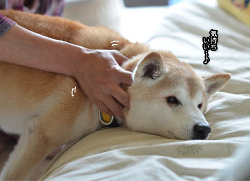 31日ブログ9.jpg