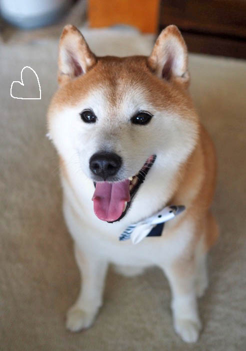 7日夜ブログ８