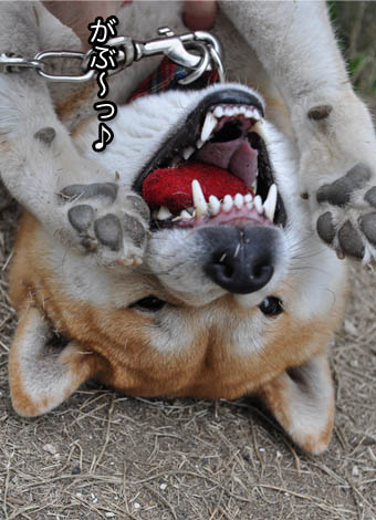 21日ブログ11.jpg