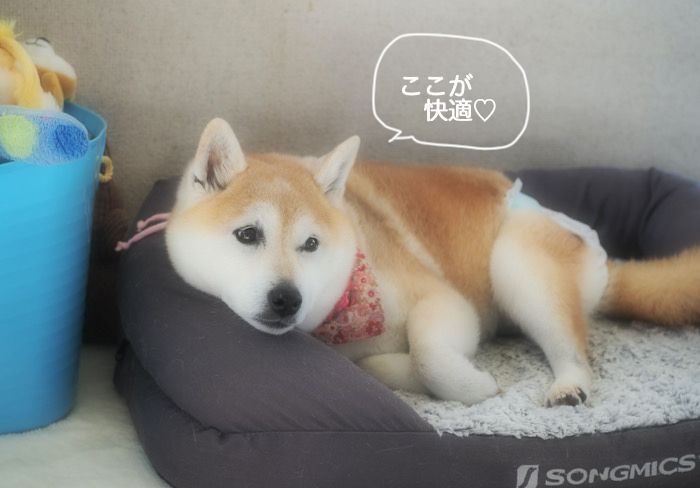 7日ブログ２