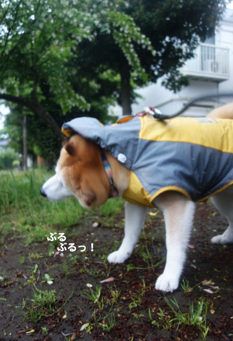 12日夜ブログ２