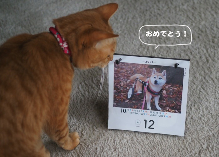 10日ブログ７