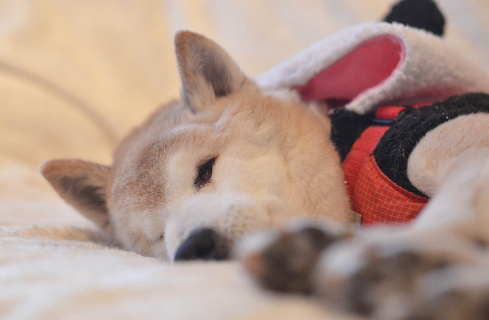 7日ブログ3