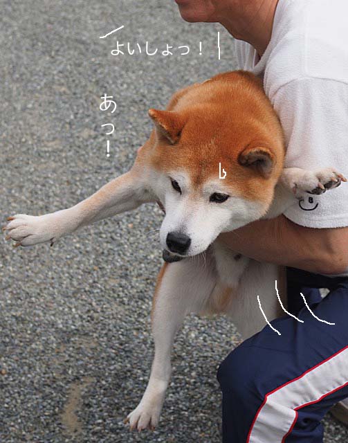25日ブログ10