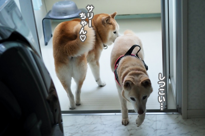 15日夕ブログ１０