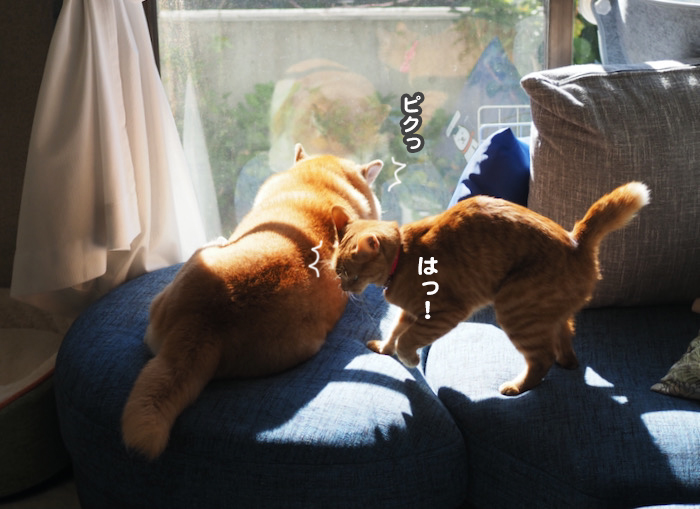27日ブログ４