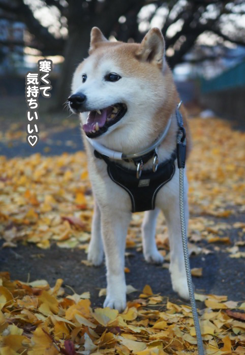 2日夕ブログ４
