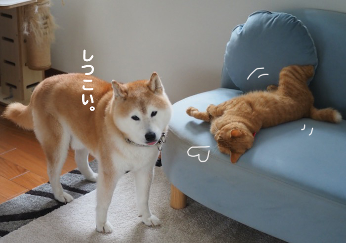 13日夕ブログ９
