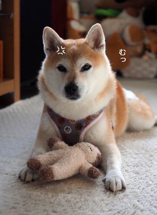 26日ブログ２